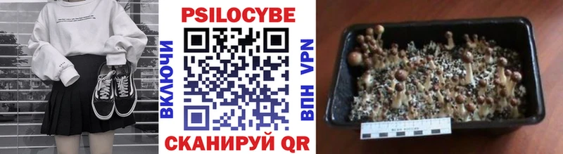 Галлюциногенные грибы Magic Shrooms  Елабуга 